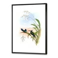 thumbnail image 3 of Designart 'Ancient Hummingbird III' Traditional Framed Canvas Wall Art Print, 3 of 5