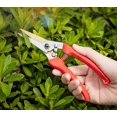 thumbnail image 5 of Professional Straight Tip Gardening Scissors for Picking Fruit, Tree and Flowers, 20cm, Red, 5 of 5