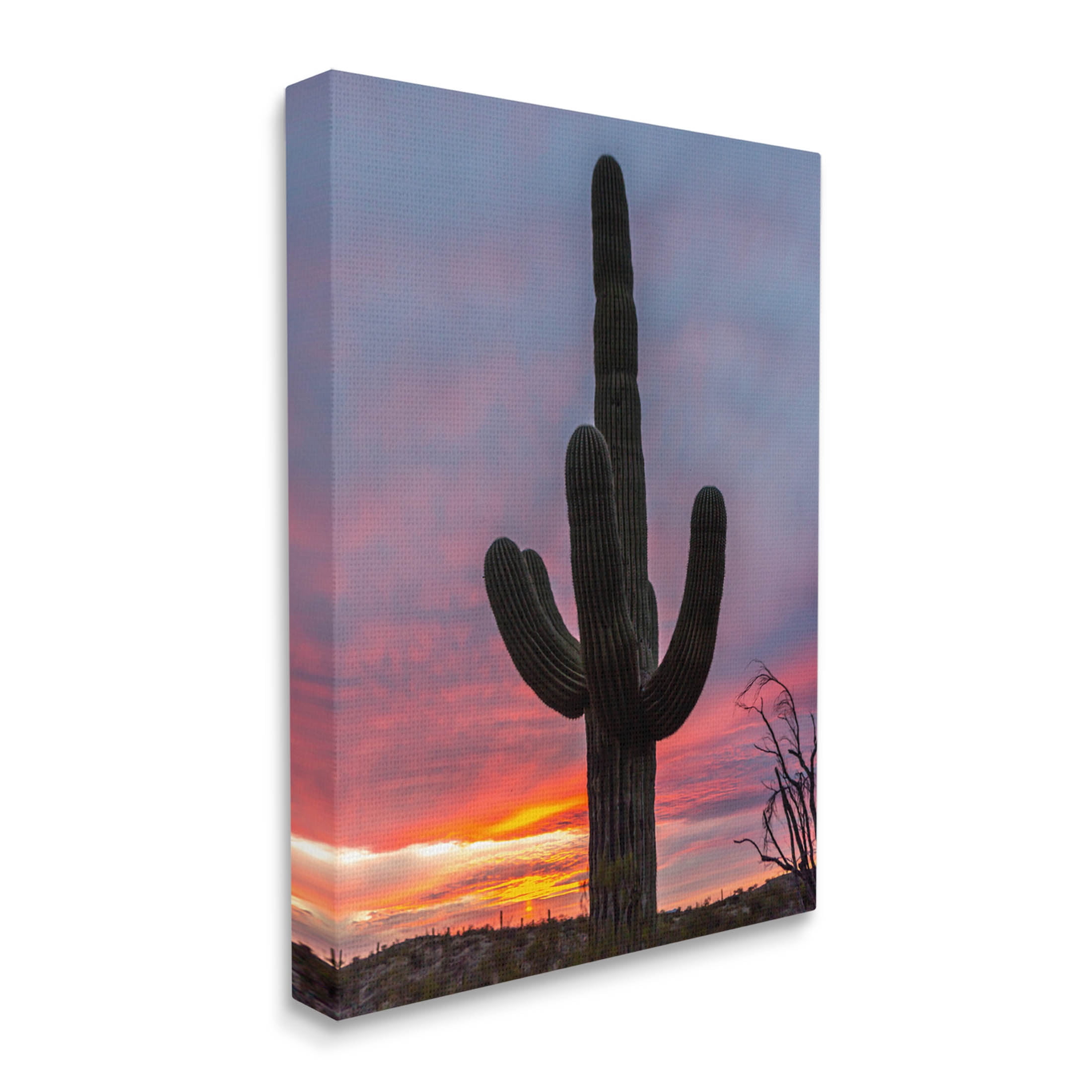 Looming Desert Cactus Silhouette Landscape Photograph Gallery Wrapped Canvas Print Wall Art