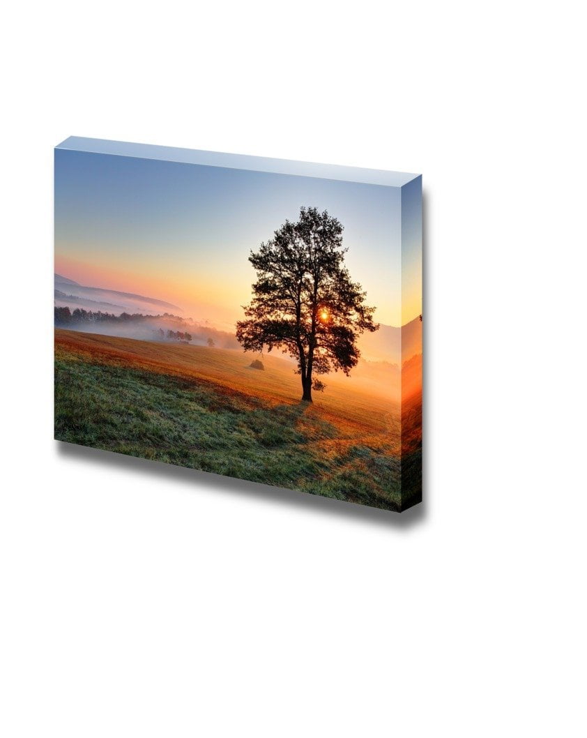 Canvas Prints Wall Art Beautiful View/Scenery of a Tree on Meadow at