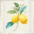 thumbnail image 3 of Nai, Danhui 20x20 Black Modern Framed Museum Art Print Titled - Floursack Lemons III Sq Navy, 3 of 5