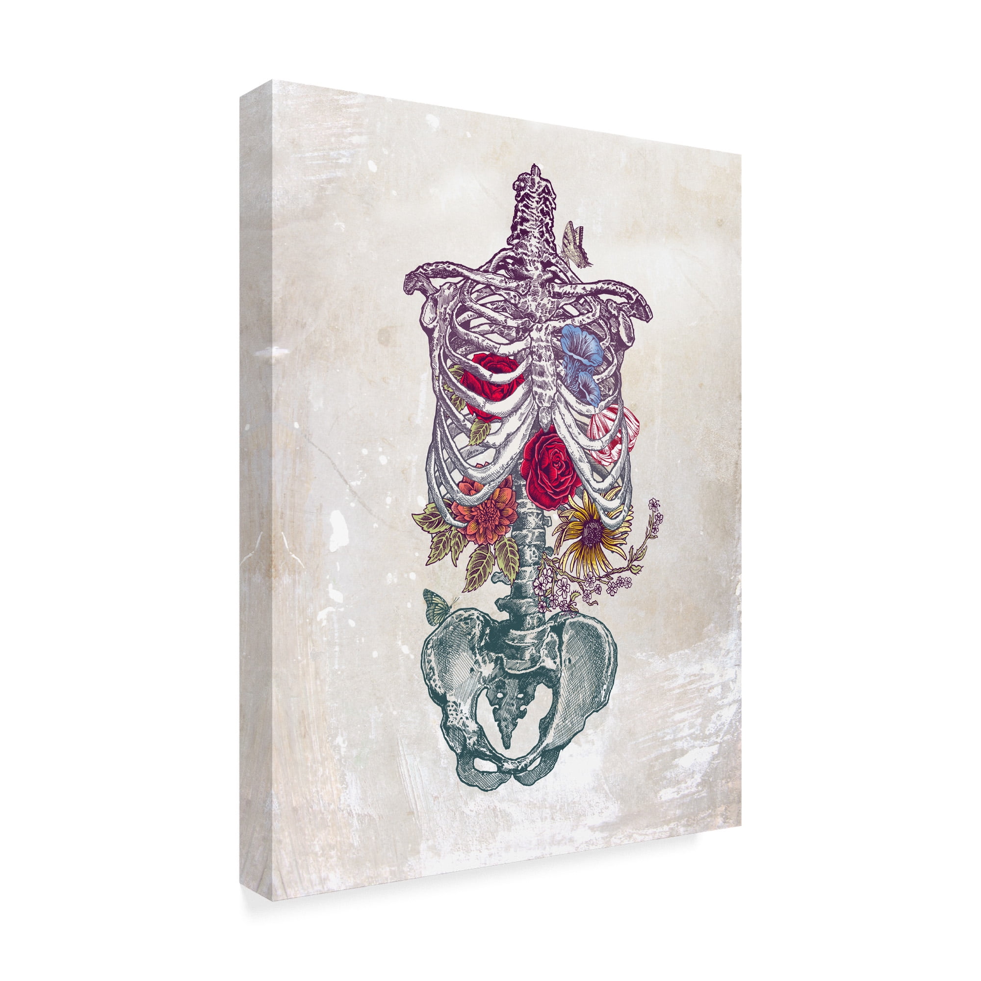 Trademark Fine Art 'Flowers From Within' Canvas Art by Rachel Caldwell