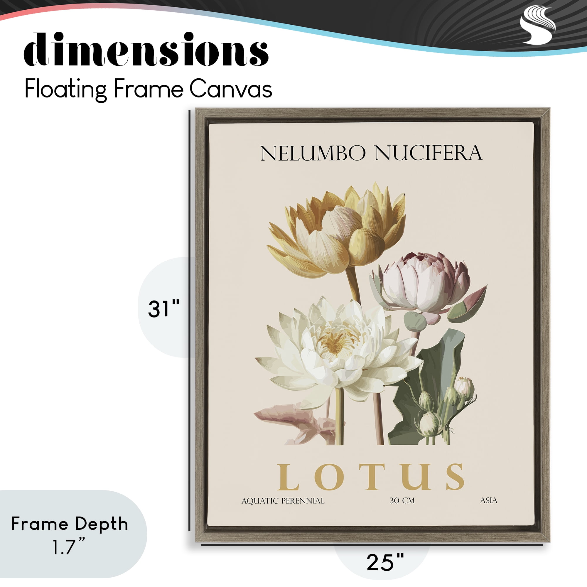 Stupell Industries Natural Lotus Bundle Brown Framed Floater Canvas Wall Art, design by Christopher Giampietro