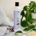 thumbnail image 3 of Nourish Beaute Premium Sulfate Free Shampoo (Lavender) for Hair Loss That Promotes Hair Regrowth, Volume and Thickening, 3 of 6