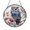 Acrylic 3.5 Inch, variant on Beautiful Indigo Tawny Owl and Spring Flowers Glass Suncatcher Decor