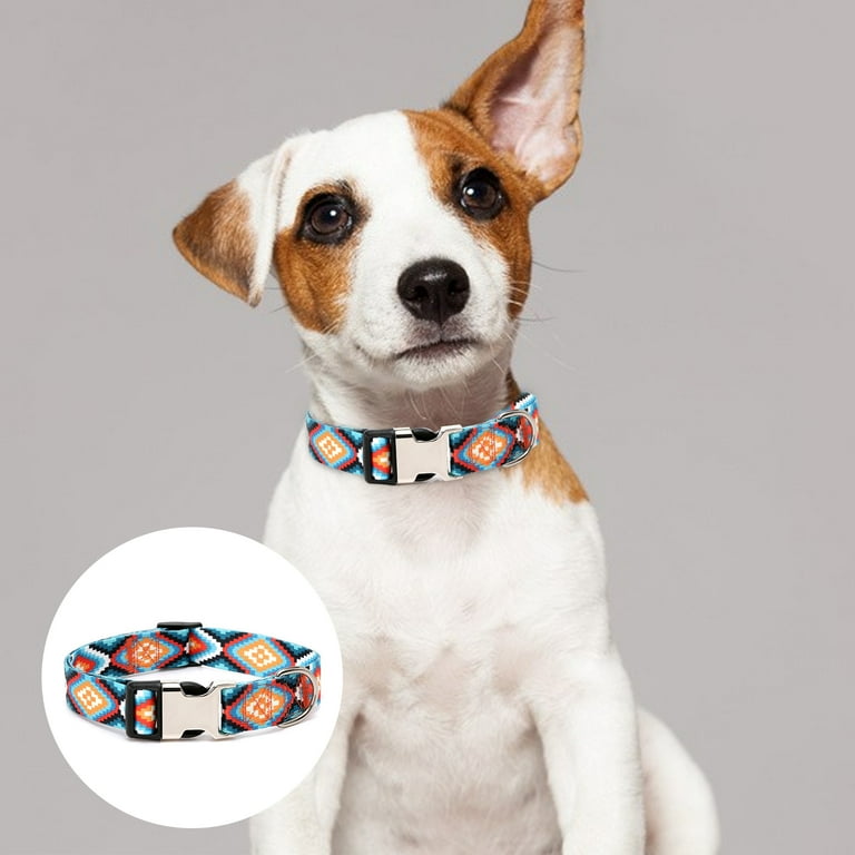Pet style dog collar online