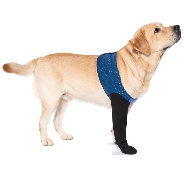 Calcetas para perros COODEO Botas curativas Protectores de patas Azules Talla L