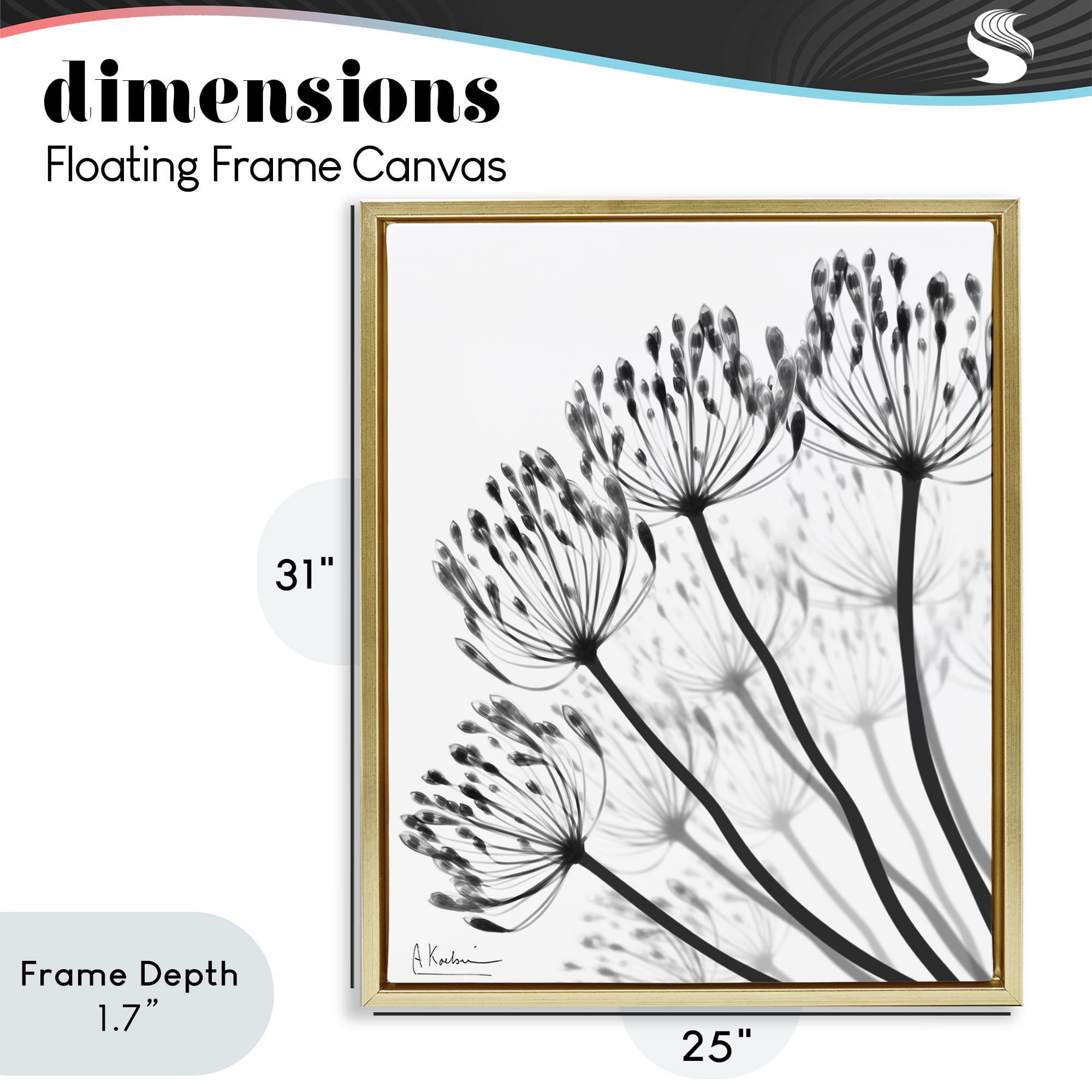 Stupell Industries Floral Fan Dandelions Gold Framed Floater Canvas Wall Art, design by Albert Koetsier