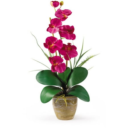 Phalaenopsis Silk Orchid Flower Arrangement, Beauty