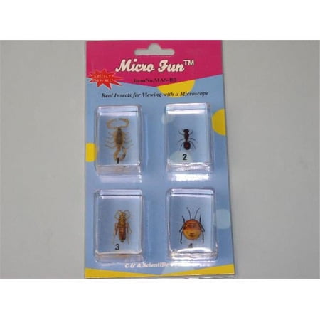 Bugs Specimen #1 Set price history on PriceWatchPro