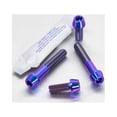 thumbnail image 6 of Titanium Grab Rail Mount Bolts (TIGRABRAIL20), 6 of 6