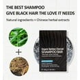 thumbnail image 3 of Fiudx Jabón Capilar, Champú Oscurecedor Natural, Limpiador de Carbón para Cuero Cabelludo, Fórmula Suave de Uso Diario, Limpieza Profunda y Volumen, para Todo Tipo de Cabello, Reducción de Caspa, 60, 3 of 6