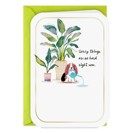 Hallmark Thinking of You Card (Sorry Things Are Hard)