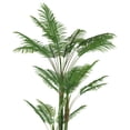 thumbnail image 5 of Artificial Palm Plant in Planter (Set of 2), 5 of 8
