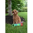 thumbnail image 3 of Multipet's Eric Carle™ Very Hungry Caterpillar Rope Tug Dog Toy, 16", 3 of 4