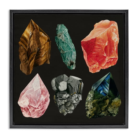 Stupell Industries Natural Crystal Gems STEM Painting Black Floater Framed Canvas Art Print Wall Art, 18 x 18