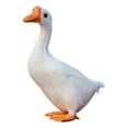 thumbnail image 3 of Lifelike White Goose Statue for Outdoor Garden Decor, Realistic Resin Animal Sculpture for Patio, Farmhouse Yard, and Pond landscaping, Durable Animal Ornament for Home and Garden, 3 of 9