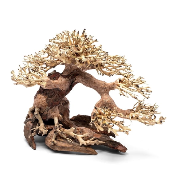 Ultum Nature Systems Bonsai Handcrafted Driftwood for Aquarium, Tree Shape Aquarium Decor, Fish Tank Decorations, Terrarium Decor, Aquascaping Hardscape for Freshwater & Nano Tank - 021, X Small