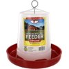 Little Giant 3Lbs Plastic Hanging Poultry Feeder Economy Hobbyist Design Chicks Baby Quail