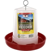 Little Giant 3Lbs Plastic Hanging Poultry Feeder Economy Hobbyist Design Chicks Baby Quail