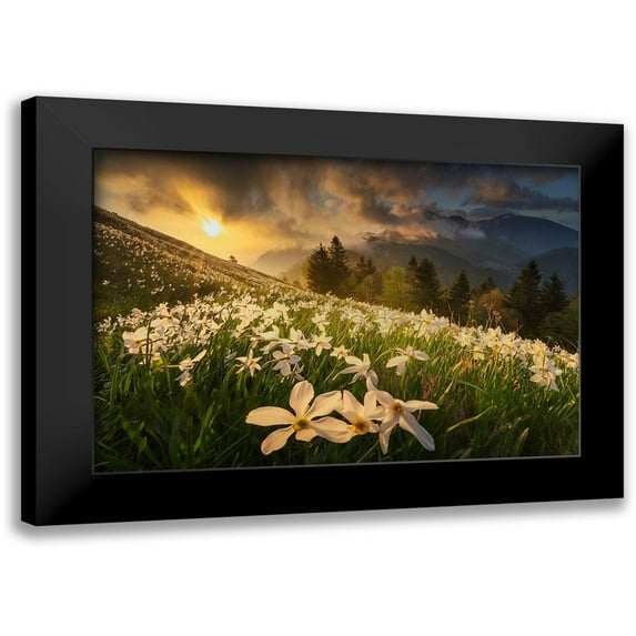 Komovec, Ales 14x11 Black Modern Framed Museum Art Print Titled - White carpet