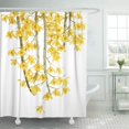 thumbnail image 1 of ABPHQTO Verde hermoso Chantaboon amarillo orquídea vida blanca Asia belleza belleza naturaleza baño cortinas de ducha 152x180 cm ABPHQTO PKNMT60x72Shower-3409, 1 of 2