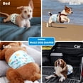 thumbnail image 5 of Dolebean Dog Diapers Male Puppies Belly Bands Reusable Wraps S, 5 of 5