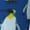 2 Black-2, variant on Vsdgher Beautiful King Penguin Pattern Print Thigh High Socks Extra Long Stretchy Sock Women Over Knee High Opaque Stocking Daily Wear