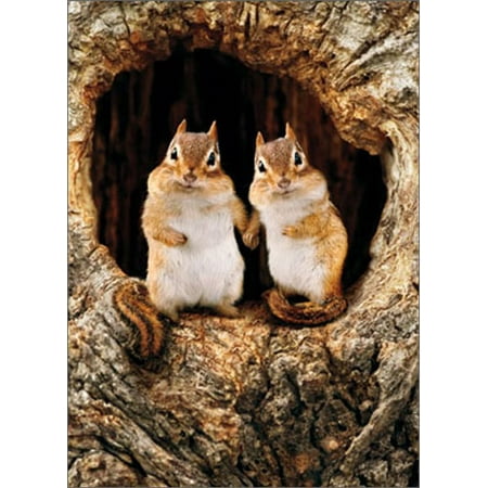 - Avanti Press Chipmunk Couple in Tree Romance / Romantic Card