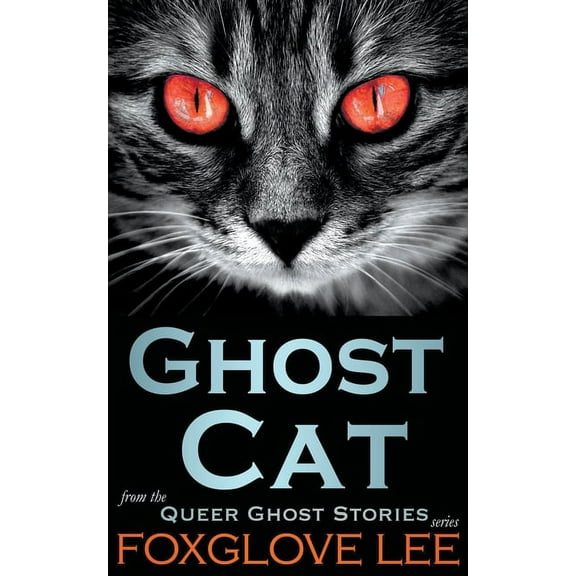 Queer Ghost Stories Ghost Cat, Book 17, (Paperback)