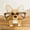 glasses holder, variant on Corgi Shaped Wooden Glasses Stand Cute Pet Ornament For Desktop Decoration Artwork, Hand-Painted Well-Made Spectacle Holder, Functional And Excellent Gift Idea For Pet Lovers