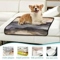 thumbnail image 6 of Qxltty Dark Brown Marble Cat litter Pads Pet Set of 2 Diaper Mats Center Anti-leakage Layer Absorbent Soft and Comfortable, 6 of 7