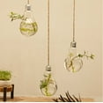 thumbnail image 1 of 1/2/3pcsClearLightBulbGlassHangingVaseBottleTerrariumHydroponicContainerFlowerDIYHomeWeddingDecoration, 1 of 6