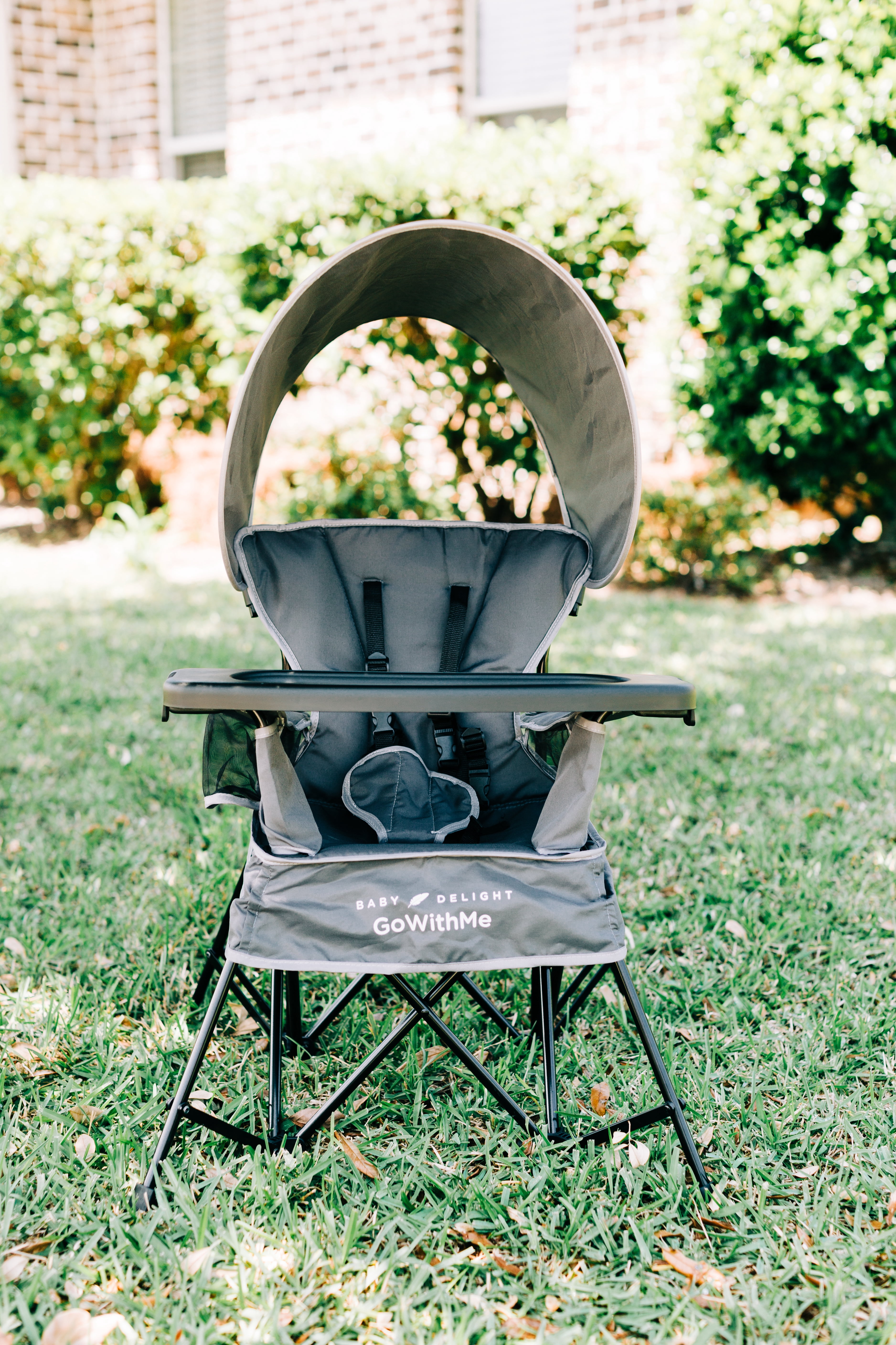Baby Delight Go with Me Jubilee Deluxe Portable Infant Chair, Removable Canopy, Gray