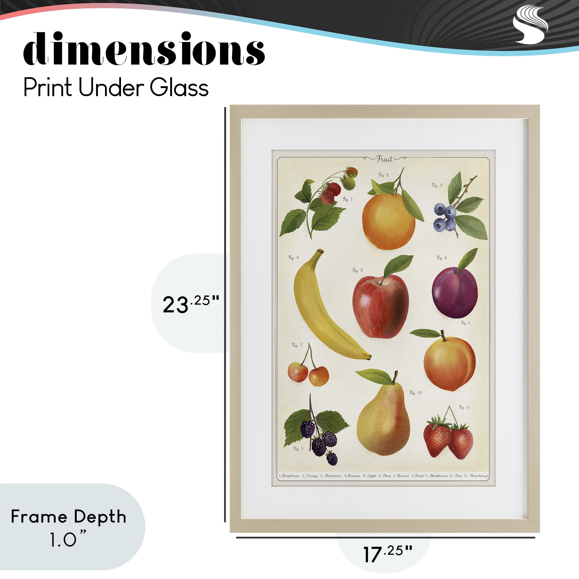 Stupell Industries Fruit Collection Studies Birch Framed Print Under Glass, design by Diane Neukirch