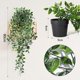 thumbnail image 3 of Plantas Colgantes Artificiales de plástico, Paquete de 3 Piezas, eucalipto, vainas de Guisantes y Datura, para Sala, Dormitorio, baño, Oficina y Exteriores, 3 of 4