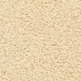 thumbnail image 6 of SAFAVIEH Clyde Solid Plush Polyester Shag Area Rug, Cream, 5' x 8', 6 of 7