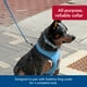 thumbnail image 4 of Collar para perro Coastal Sublime ajustable Blue Waves 2,5 x 30-46 cm, 4 of 7