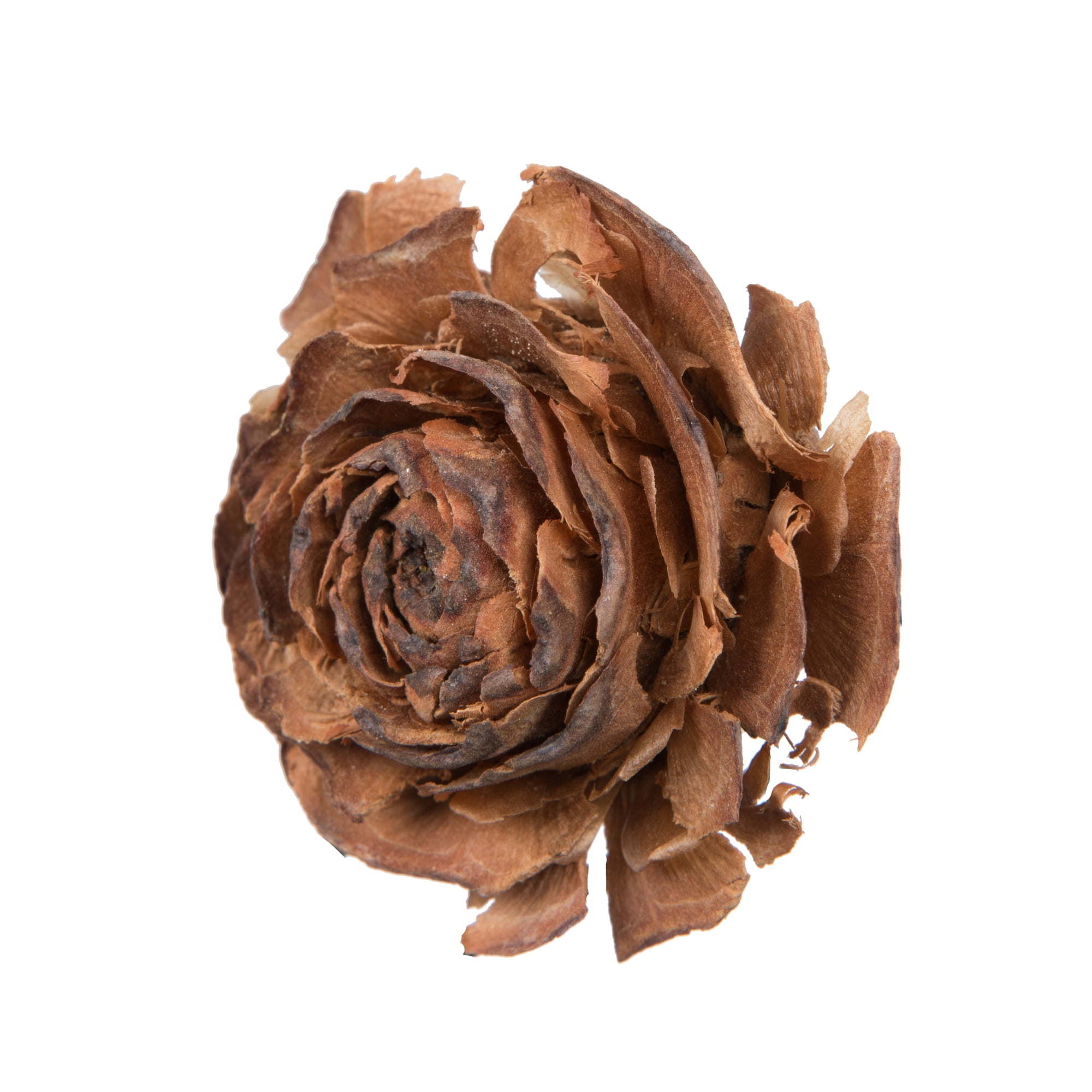 Vickerman Natural Botanicals 1.3"-1.8" Cedar Rose 100 Pieces per Polybag. 100 cedar roses per unit.