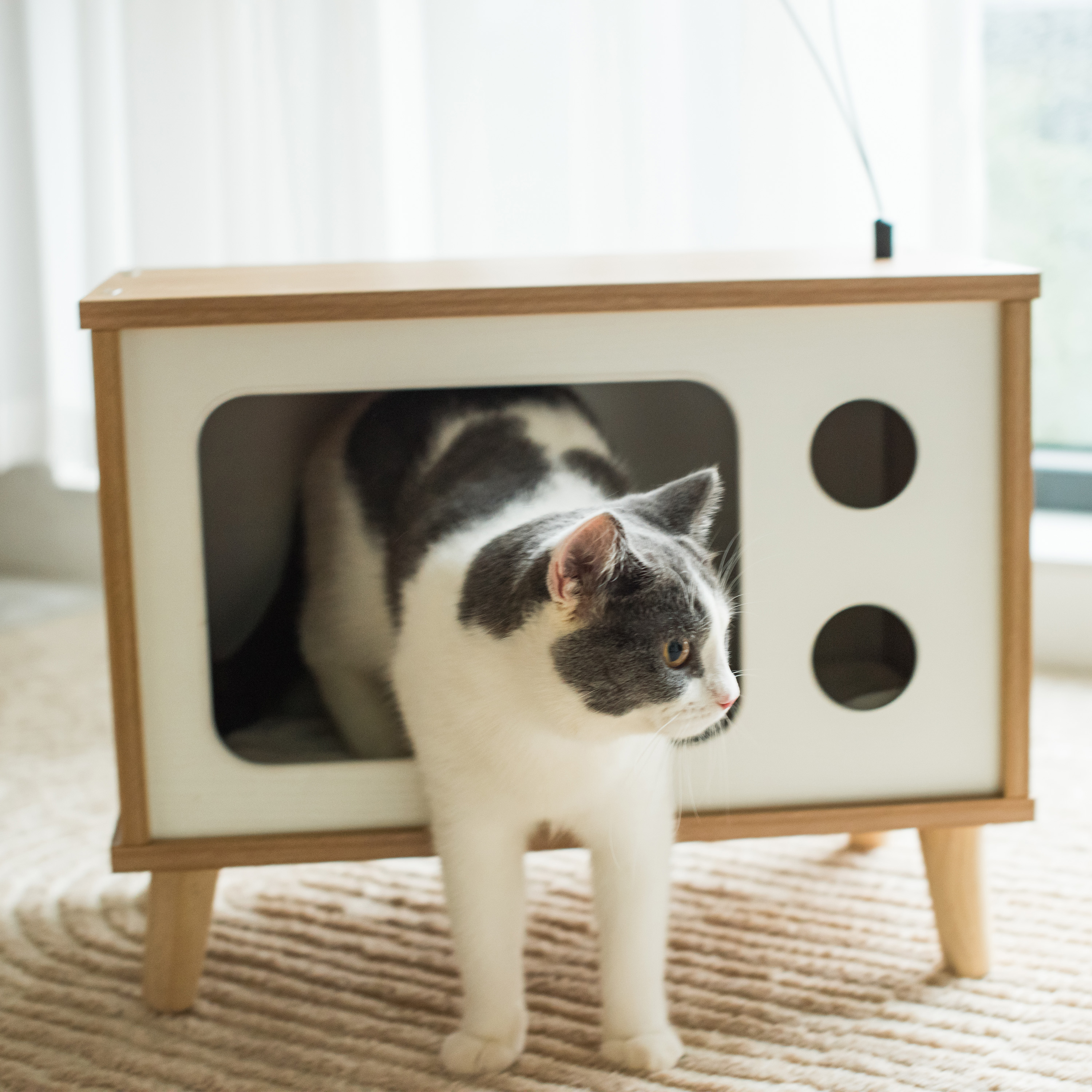 Vibrant Life Purr-View Retro TV Cat Condo with Jute Scratching Pad & Washable Mat - image 3 of 11