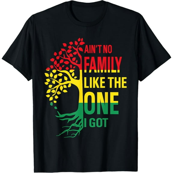 Ain't No Family Like The One I Got Funny Family Reunion 2024 T-Shirt