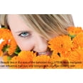 thumbnail image 5 of On-In Beauty System: Anti-Aging Cream & Supplement. Reduces Wrinkles in Just 2 Weeks., 5 of 6