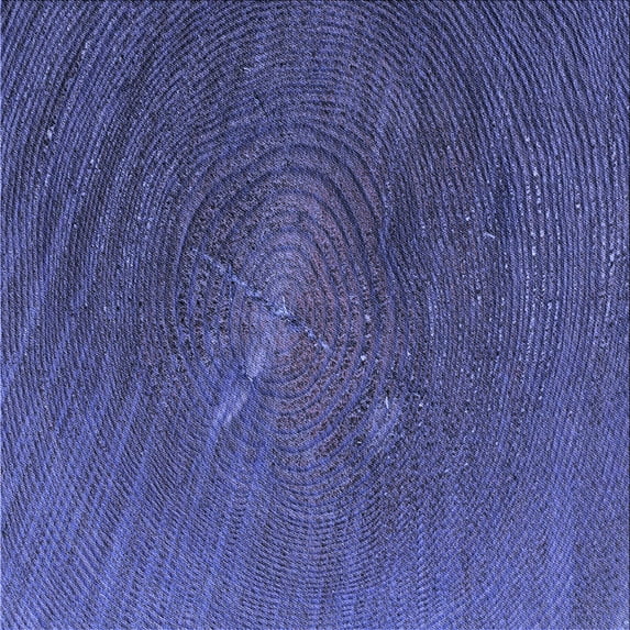 Ahgly Company Indoor Square Patterned DarkSlate Blue Purple Area Rugs, 4' Square