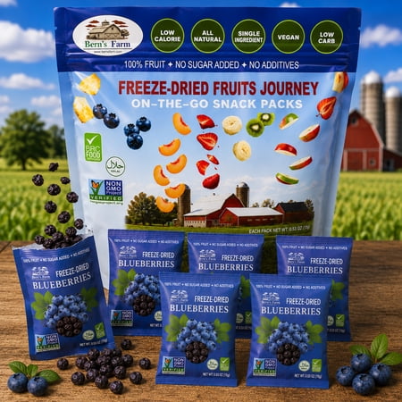 Freeze-Dried Whole Blueberries (No Sugar Added) Bags of 6, 0.53oz Each – Perfect for Snacking Directly from the Package