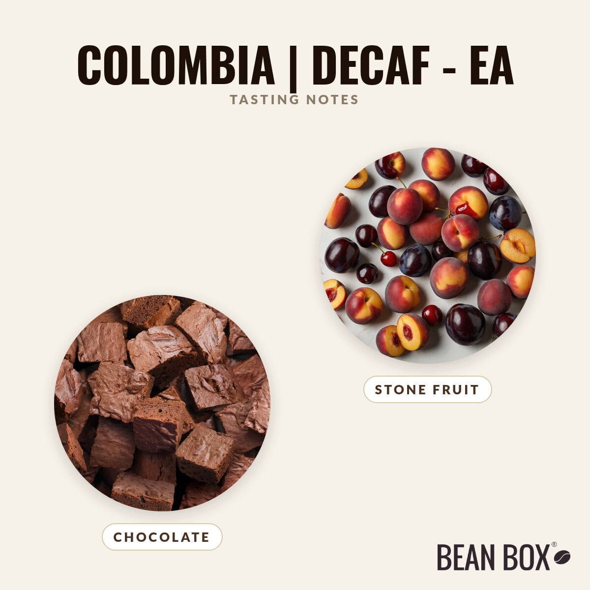 Colombia Decaf - EA - Roasted by Proud Mary Coffee - Whole Bean Coffee - 250g Bag