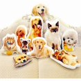 thumbnail image 1 of wonima44 Customized Pillow - Duplex Printing Shape Photo Pillow with Pet, Idol, Face, Personalized Photo Gifts for Birthday/Mother's/Father's/Christmas/Thanksgiving/Valentine's Day (24inches), 1 of 1