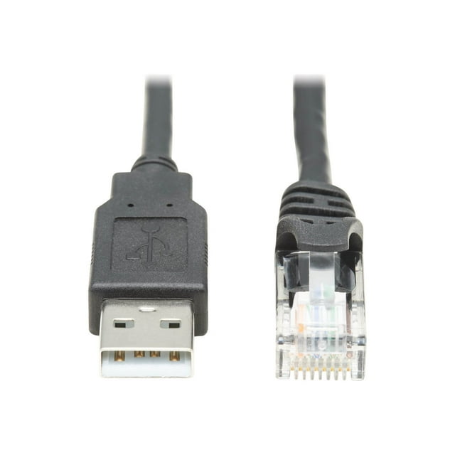 Eaton Tripp Lite Series Câble de Console USB vers RJ45 (M/M) - Compatible Cisco, 250 Kbps, 6 Pieds, Noir - Câble Série - USB (m) vers RJ-45 (F) - 6 Pieds - double Blindage - USB 1.1 - Noir