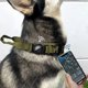 thumbnail image 4 of Tactical Dog Collar Nylon Adjustable Pet Collar with Control Handle and Protective Cover for AirTag, 4 of 5