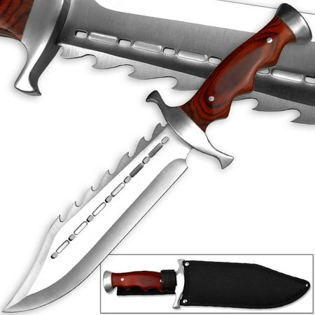 Texas Longhorn Spiked Full Tang Bowie Knife 15in w/ Sheath & Hardwood (Best Bowie Knife On The Market)