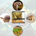 thumbnail image 4 of AIICIOO Under Tank Heater Thermostat - Reptile Heating Pad with Temperature Control Reptile Heat Mat 8 Watt for Combo Set for Hermit Crab Lizard Terrarium, 4 of 6